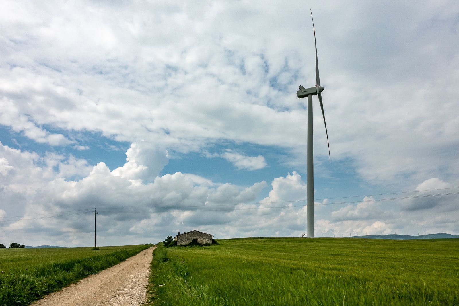 &Eacute;olienne au milieu de prairies vertes